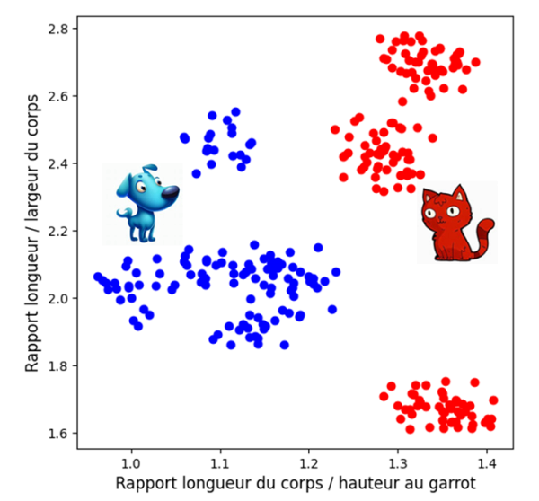 Figure 5 : Répartition des populations de chiens et de chats en fonction des deux paramètres adimentionnels choisis.