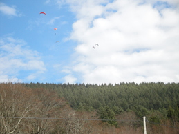 Enlarge DSC02868.JPG