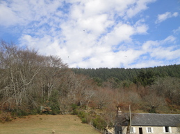 Enlarge DSC02870.JPG