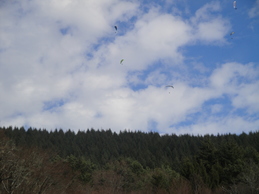 Enlarge DSC02871.JPG