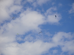 Enlarge DSC02872.JPG