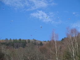 Enlarge DSC02873.JPG