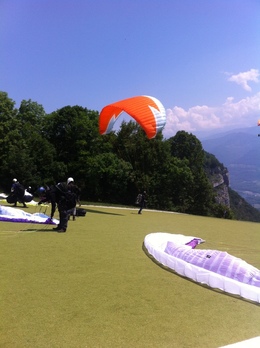 Enlarge IMG_3842.JPG