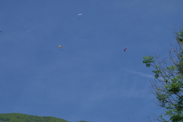 Enlarge P1010176.JPG