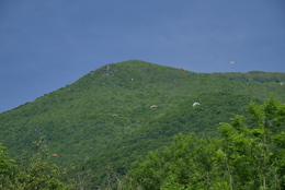 Enlarge P1010178.JPG