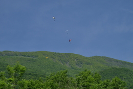 Enlarge P1010180.JPG