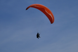 Enlarge P1010213.JPG