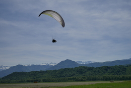 Enlarge P1010223.JPG