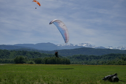 Enlarge P1010231.JPG