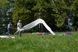 Enlarge P1010243.JPG