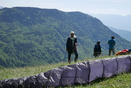 Enlarge P1010252.JPG