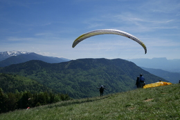 Enlarge P1010258.JPG