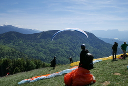 Enlarge P1010281.JPG