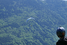 Enlarge P1010283.JPG