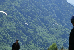 Enlarge P1010286.JPG