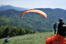 Enlarge P1010289.JPG