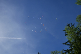 Enlarge P1010307.JPG