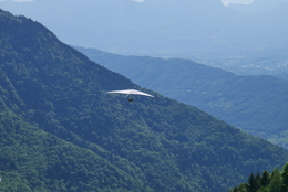 Enlarge P1010326.JPG