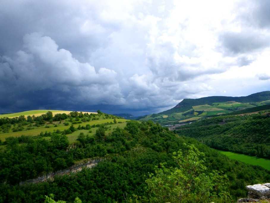 Enlarge IMGP2226.JPG