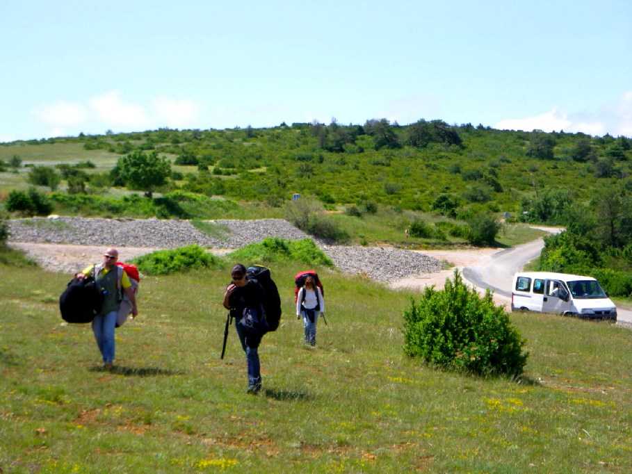 Enlarge IMGP2229.JPG