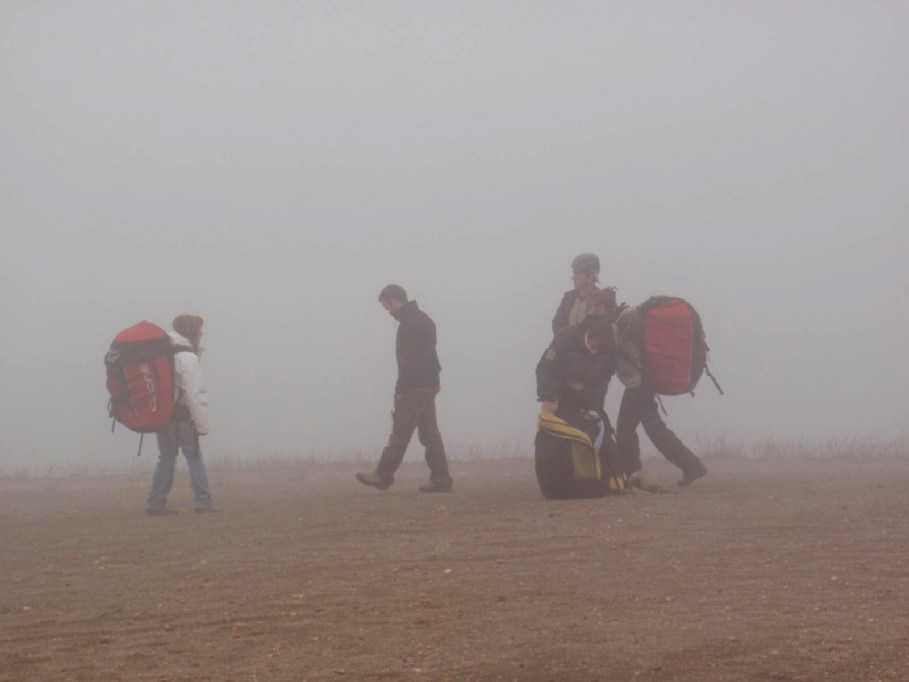 Enlarge P6170006.JPG