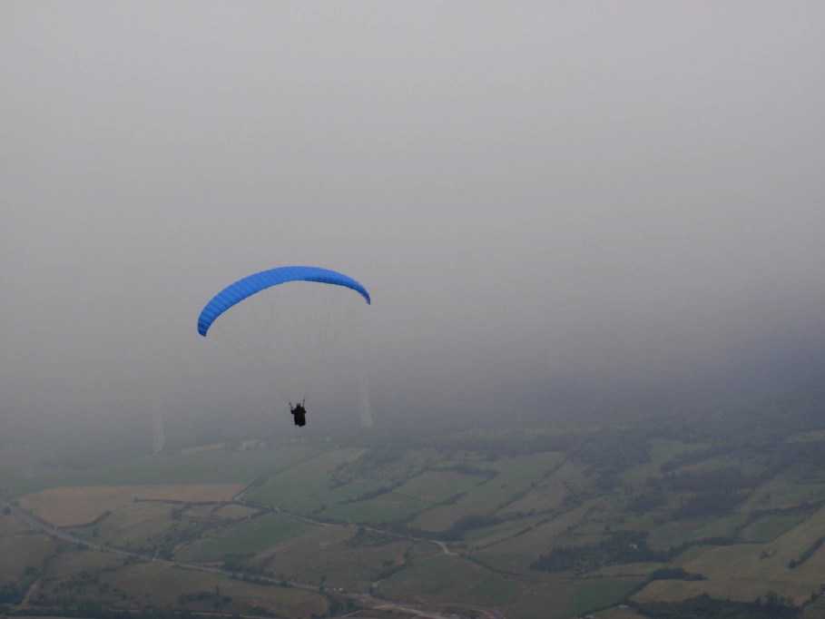 Enlarge P6170016.JPG