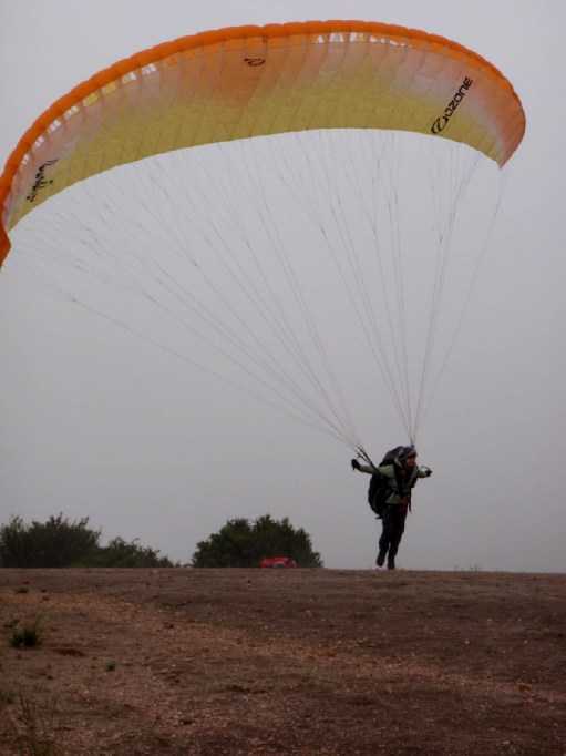 Enlarge P6170017.JPG