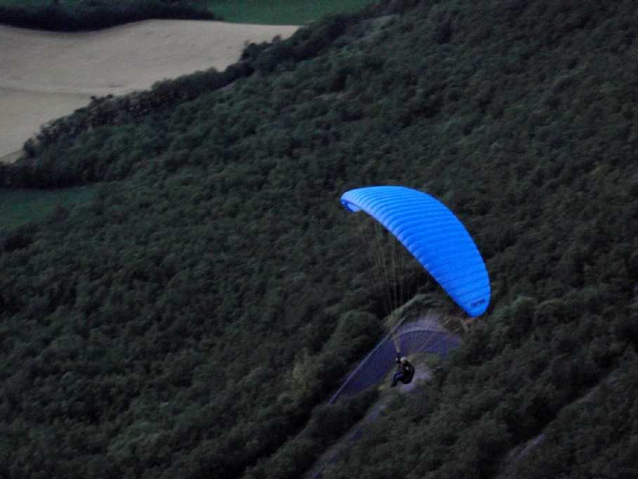 Enlarge P6170065.JPG