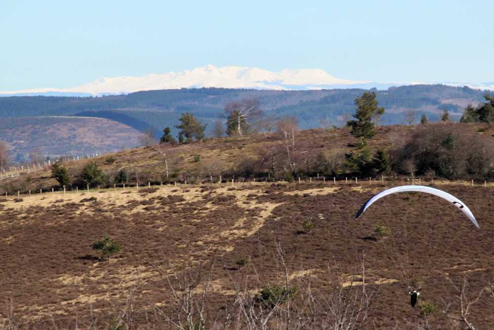 Enlarge IMG_7732.jpg