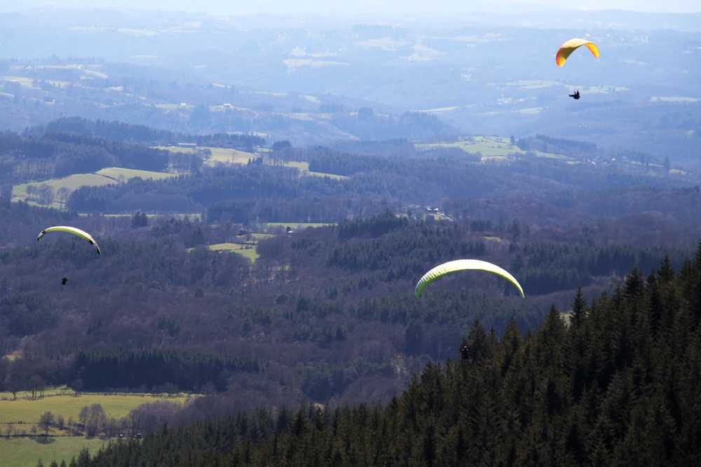 Enlarge IMG_7738.jpg