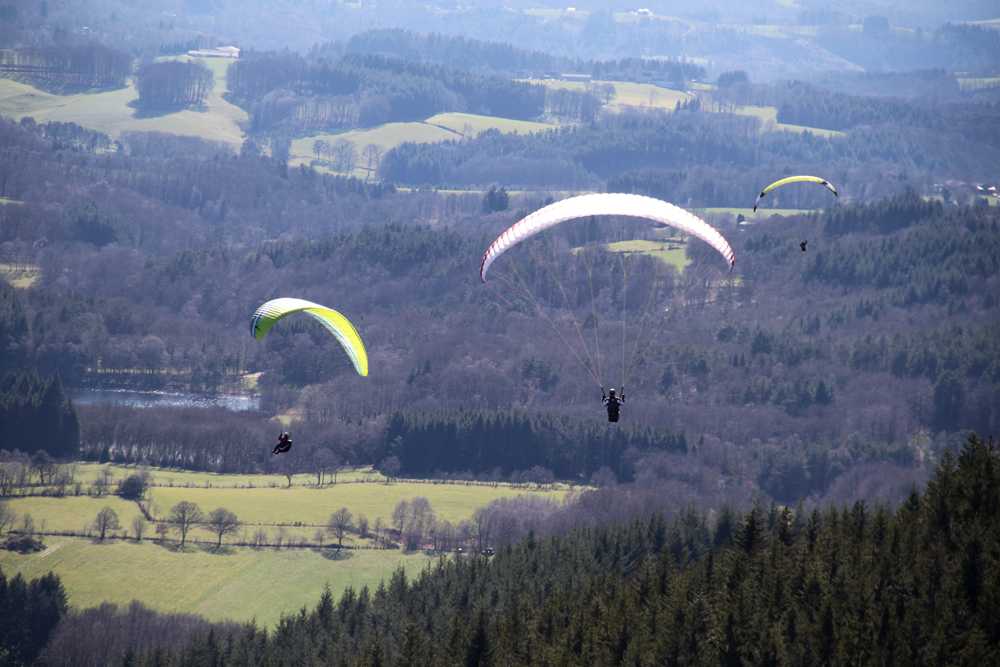 Enlarge IMG_7748.jpg