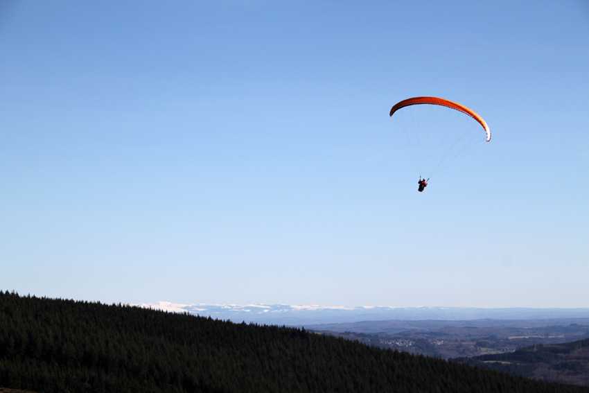 Enlarge IMG_7772.jpg