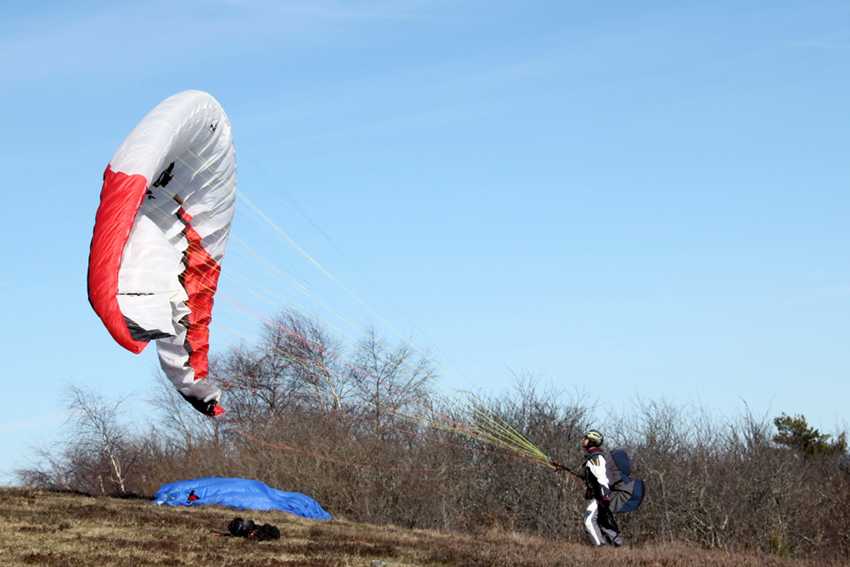 Enlarge IMG_7785.jpg