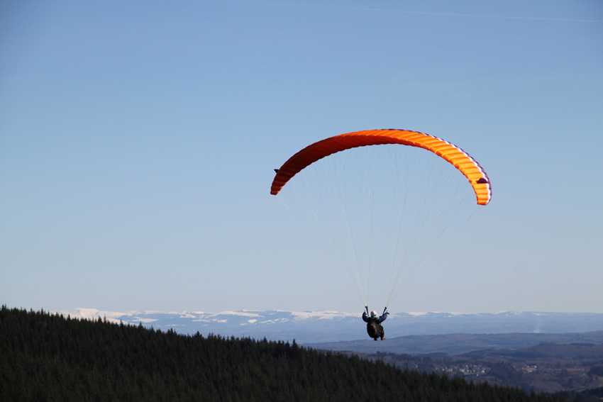 Enlarge IMG_7795.jpg