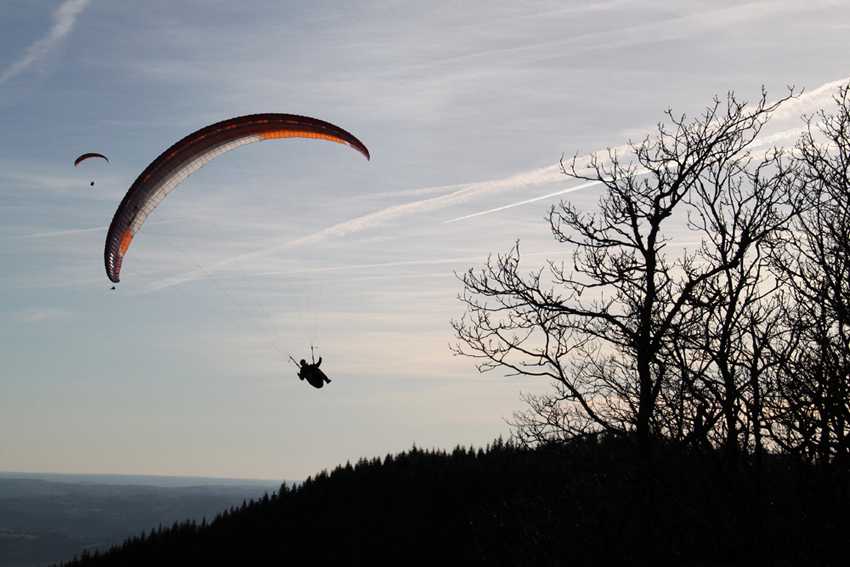 Enlarge IMG_7848.jpg