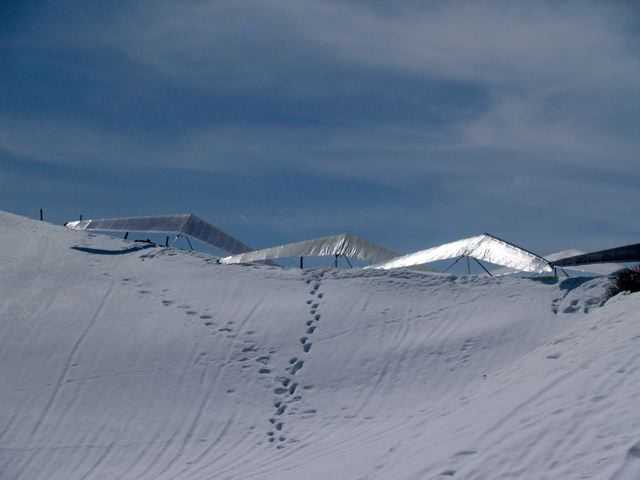 Enlarge P5106531.jpg