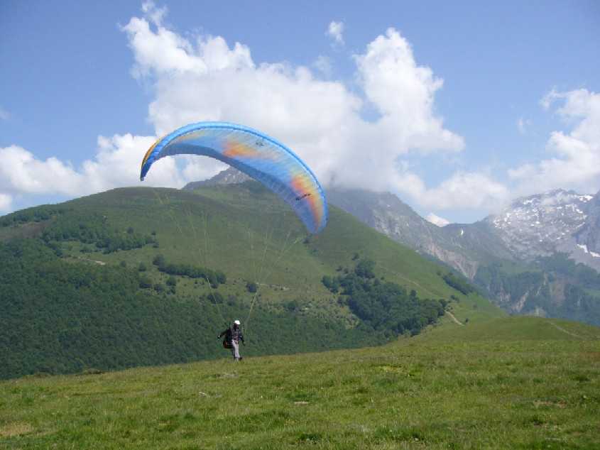 Enlarge att_deco_bergout.JPG