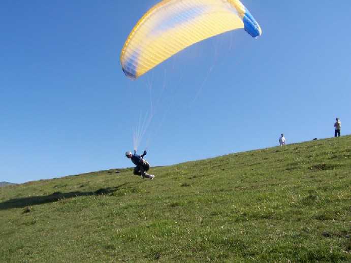 Enlarge gregory3.JPG