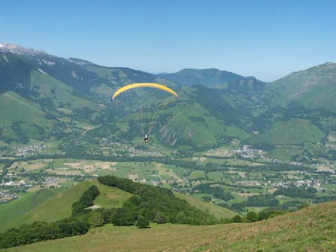 Enlarge gregory4.JPG