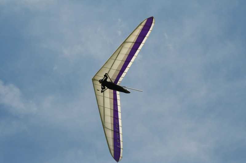 Enlarge delta_OT_philippe_chaisemartin.jpg