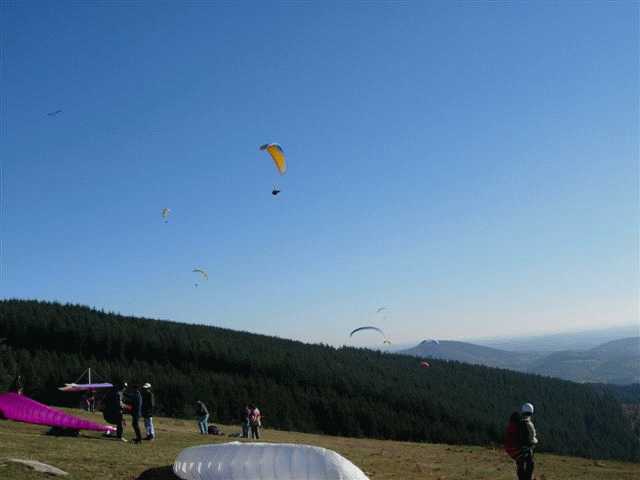 Enlarge mone_11-11-017.jpg