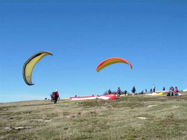 Enlarge mone_11_11-007.jpg