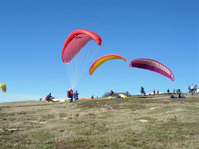 Enlarge mone_11_11-008.jpg