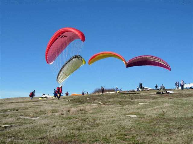 Enlarge mone_11_11-009.jpg