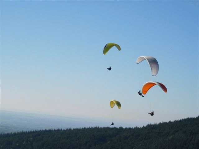 Enlarge mone_11_11-010.jpg