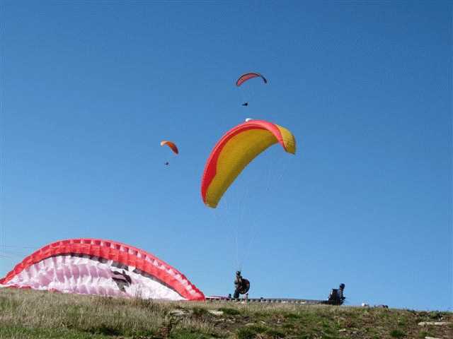 Enlarge mone_11_11-011.jpg