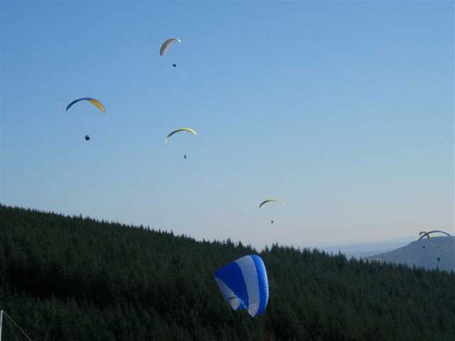 Enlarge mone_11_11-016.jpg