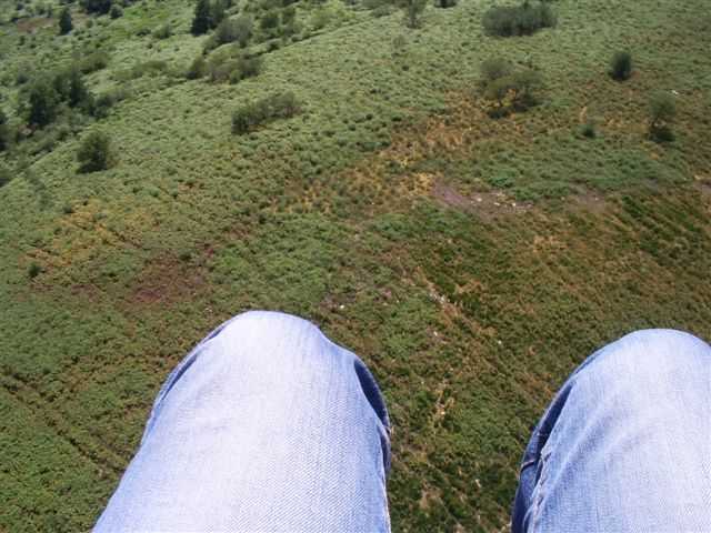 Enlarge 26juillet2007027.jpg