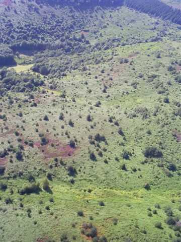 Enlarge 26juillet2007029.jpg