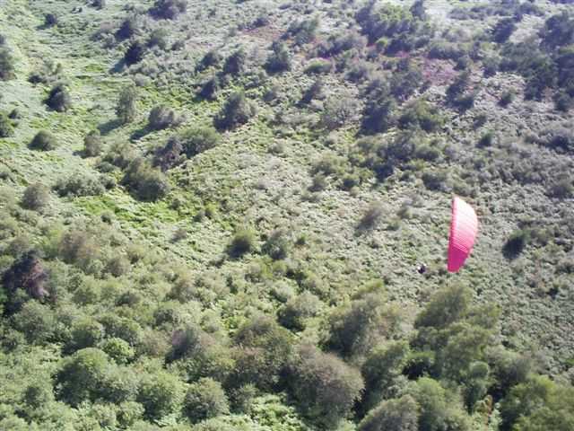 Enlarge 26juillet2007053.jpg